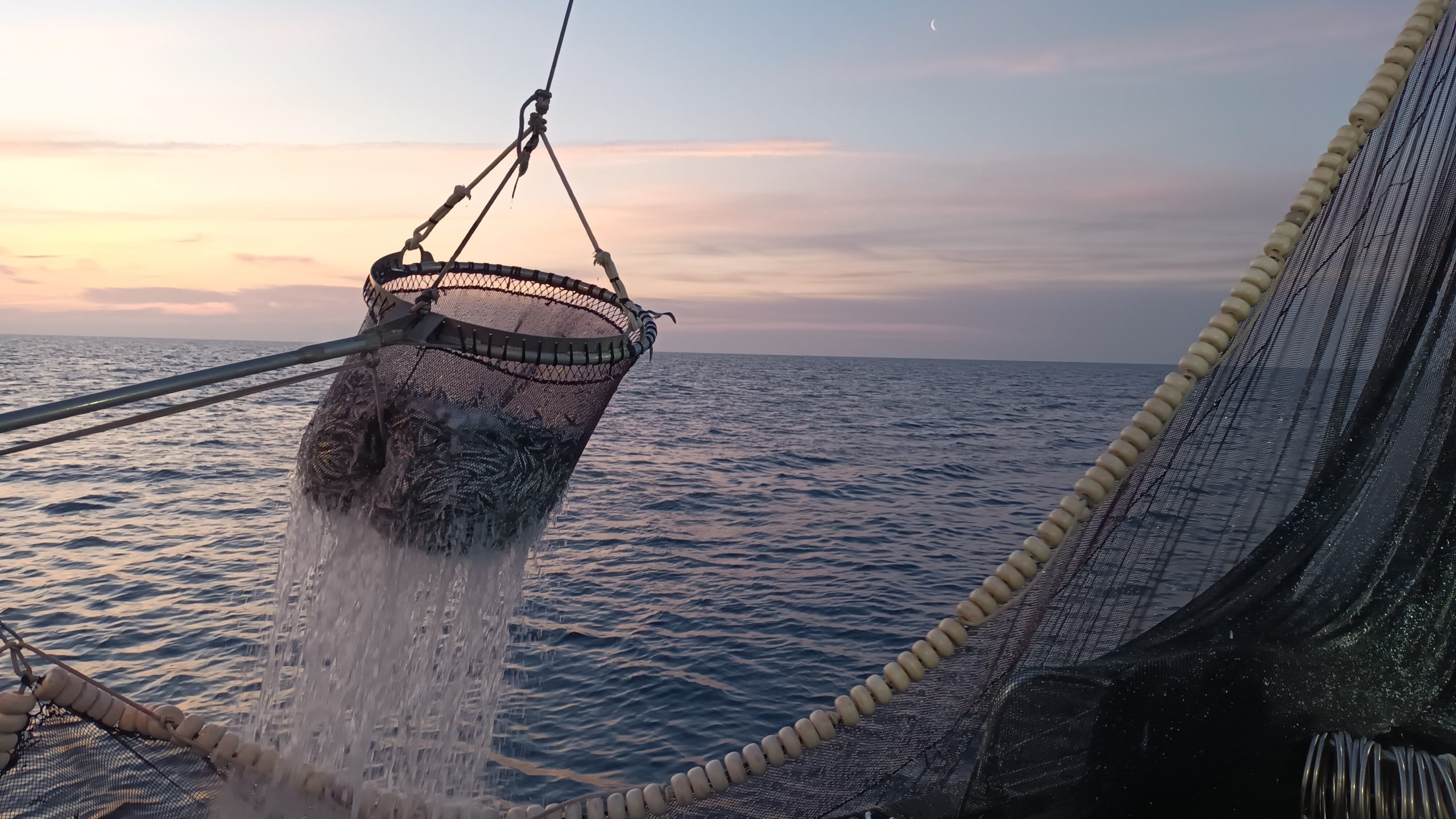 The report on the economic evolution of catches for 2022-2023 is now available