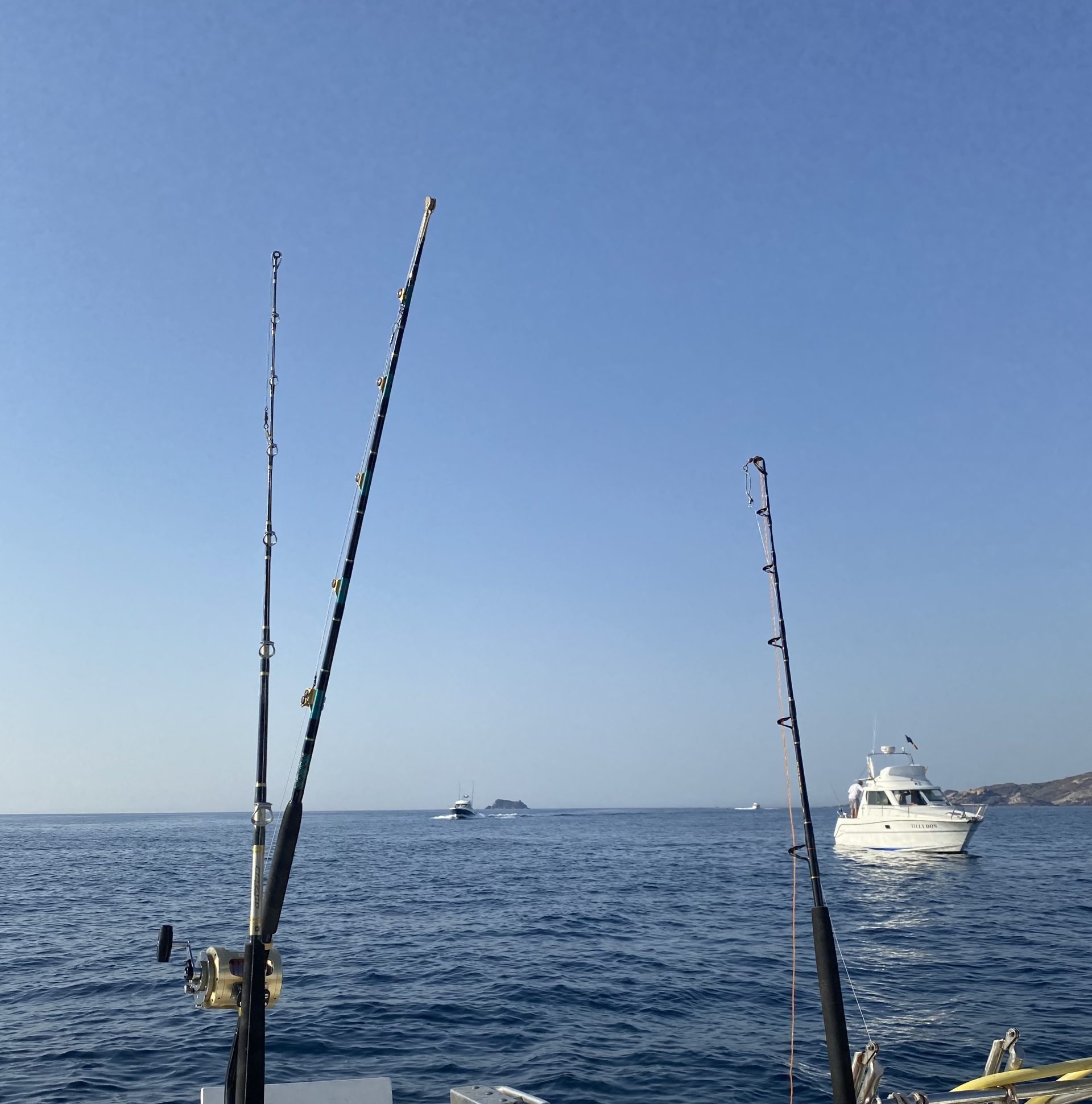 The report on the state of marine recreational fisheries in Catalonia in 2023 is now available